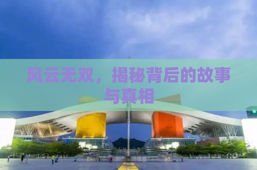 风云无双，揭秘背后的故事与真相