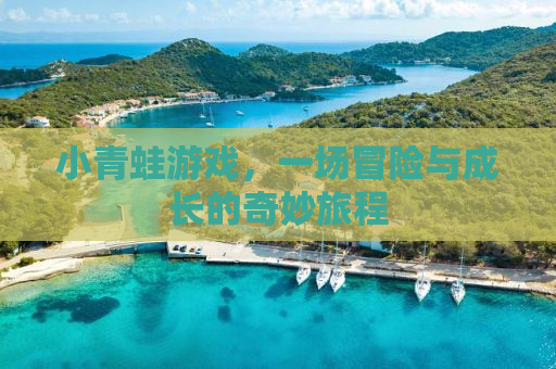 小青蛙游戏，一场冒险与成长的奇妙旅程