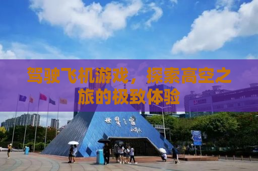 驾驶飞机游戏，探索高空之旅的极致体验