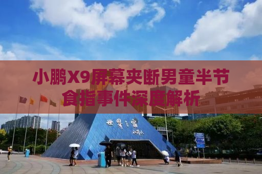 小鹏X9屏幕夹断男童半节食指事件深度解析