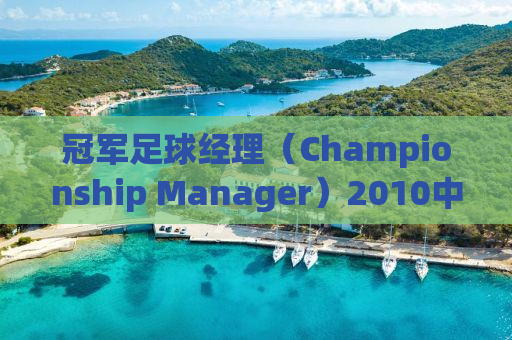 冠军足球经理（Championship Manager）2010中文版，打造你的足球王朝