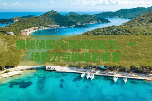 揭秘侦探小游戏的魅力，一场智力与推理的盛宴