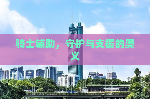 骑士辅助，守护与支援的奥义