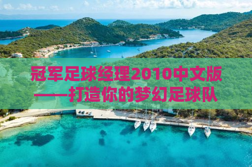 冠军足球经理2010中文版——打造你的梦幻足球队