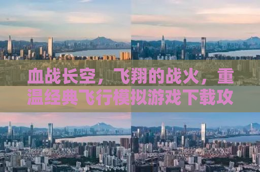 血战长空，飞翔的战火，重温经典飞行模拟游戏下载攻略