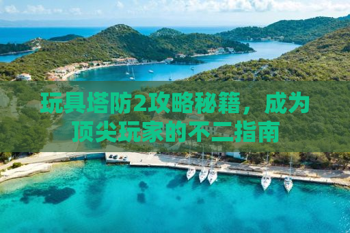 玩具塔防2攻略秘籍，成为顶尖玩家的不二指南