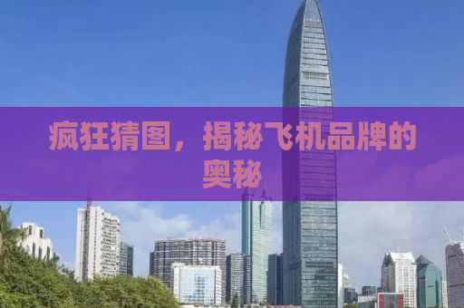 疯狂猜图，揭秘飞机品牌的奥秘