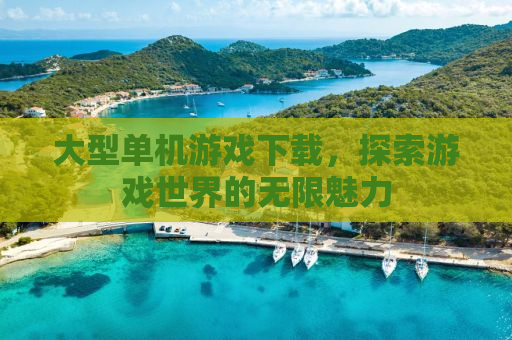 大型单机游戏下载，探索游戏世界的无限魅力