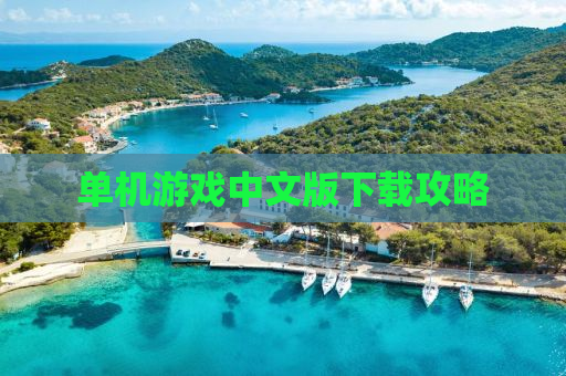 单机游戏中文版下载攻略