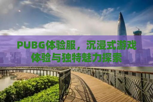 PUBG体验服，沉浸式游戏体验与独特魅力探索