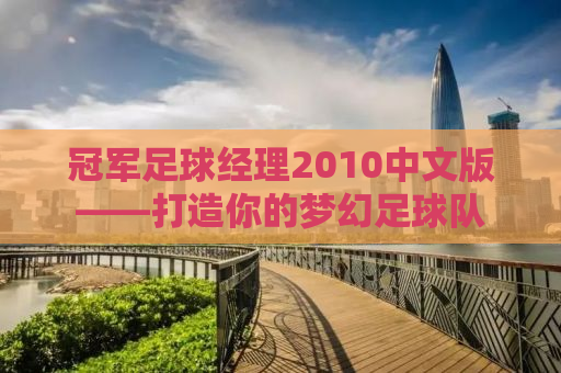 冠军足球经理2010中文版——打造你的梦幻足球队
