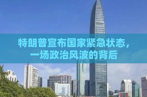 特朗普宣布国家紧急状态，一场政治风波的背后