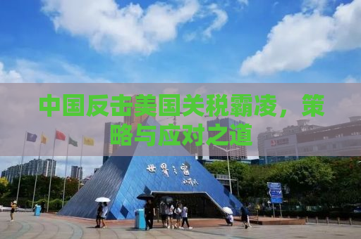 中国反击美国关税霸凌，策略与应对之道