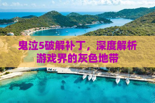 鬼泣5破解补丁，深度解析游戏界的灰色地带