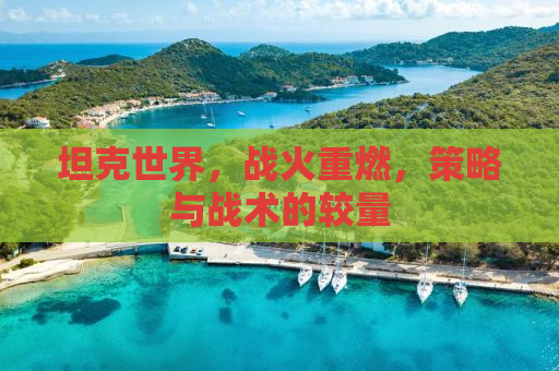坦克世界，战火重燃，策略与战术的较量