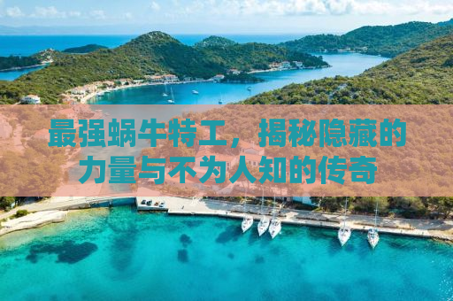 最强蜗牛特工，揭秘隐藏的力量与不为人知的传奇