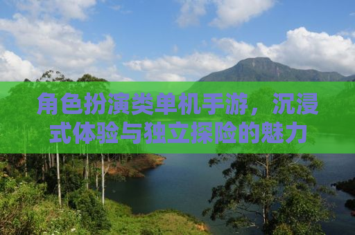 角色扮演类单机手游，沉浸式体验与独立探险的魅力