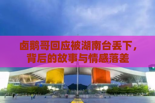 卤鹅哥回应被湖南台丢下，背后的故事与情感落差