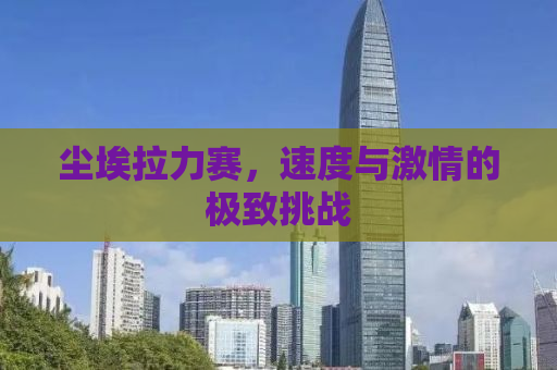 尘埃拉力赛，速度与激情的极致挑战