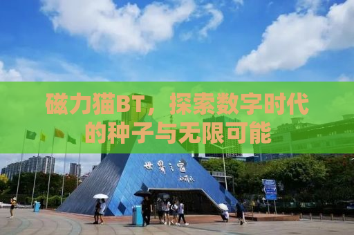 磁力猫BT，探索数字时代的种子与无限可能