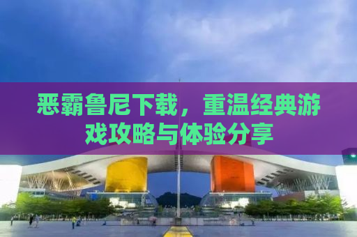 恶霸鲁尼下载，重温经典游戏攻略与体验分享
