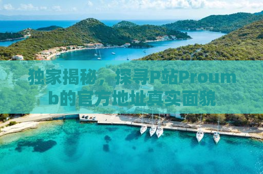 独家揭秘，探寻P站Proumb的官方地址真实面貌