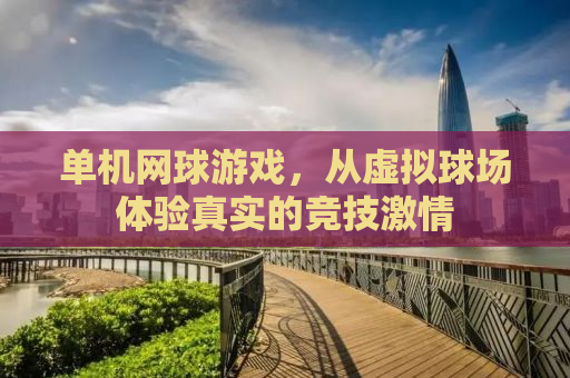 单机网球游戏，从虚拟球场体验真实的竞技激情
