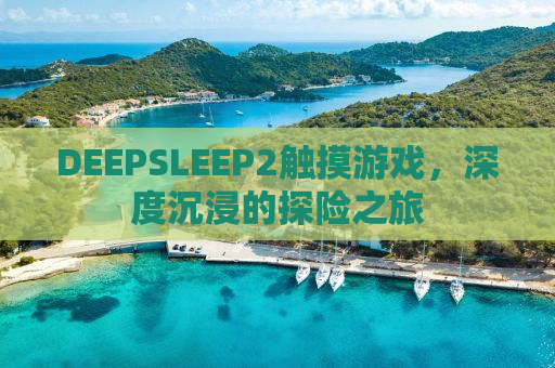 DEEPSLEEP2触摸游戏，深度沉浸的探险之旅
