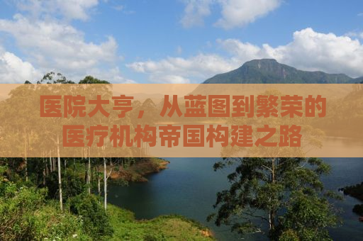 医院大亨，从蓝图到繁荣的医疗机构帝国构建之路