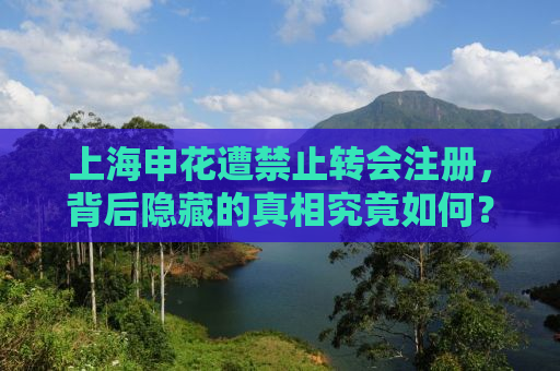 上海申花遭禁止转会注册，背后隐藏的真相究竟如何？