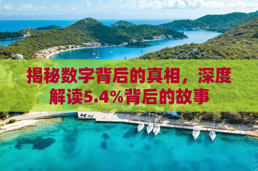 揭秘数字背后的真相，深度解读5.4%背后的故事