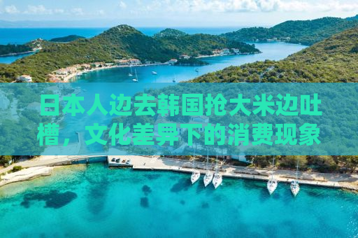 日本人边去韩国抢大米边吐槽，文化差异下的消费现象深度解析
