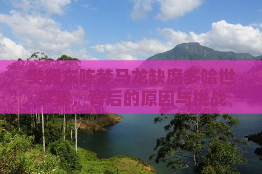樊振东陈梦马龙缺席多哈世乒赛，背后的原因与挑战