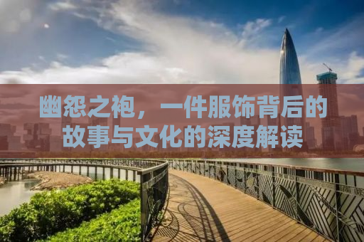 幽怨之袍，一件服饰背后的故事与文化的深度解读