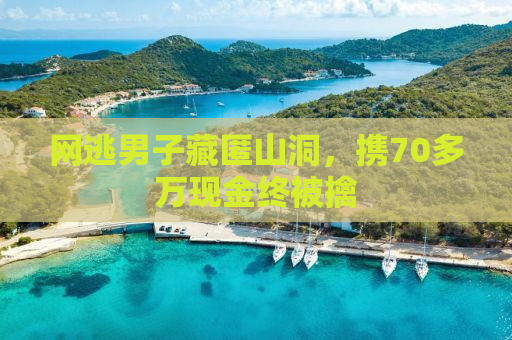网逃男子藏匿山洞，携70多万现金终被擒