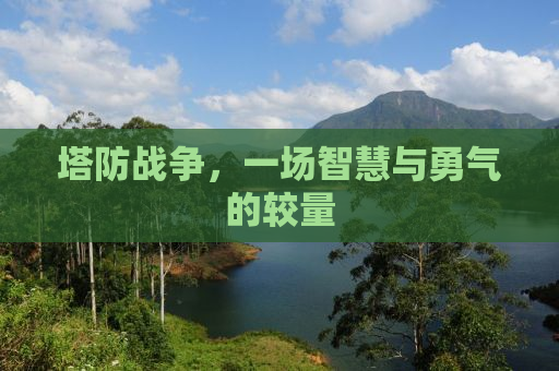 塔防战争，一场智慧与勇气的较量
