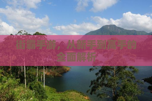 街霸手游，从新手到高手的全面解析