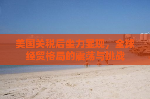 美国关税后坐力显现，全球经贸格局的震荡与挑战
