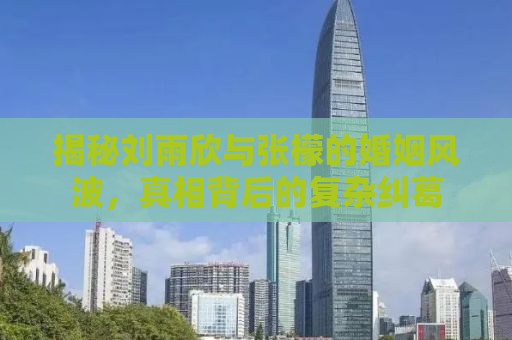 揭秘刘雨欣与张檬的婚姻风波，真相背后的复杂纠葛