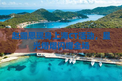 赵露思现身上海CT活动，星光熠熠闪耀全场