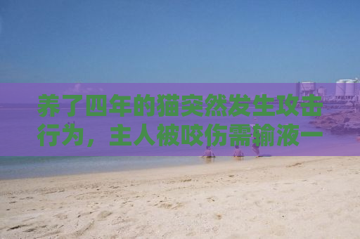 养了四年的猫突然发生攻击行为，主人被咬伤需输液一周