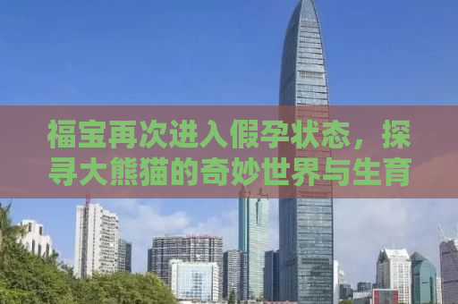 福宝再次进入假孕状态，探寻大熊猫的奇妙世界与生育之谜