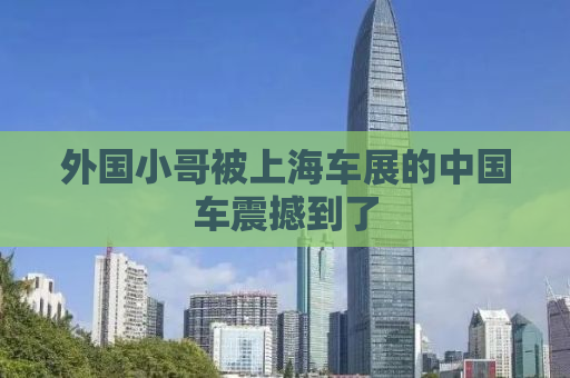 外国小哥被上海车展的中国车震撼到了
