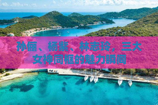 孙俪、杨紫、林志玲，三大女神同框的魅力瞬间