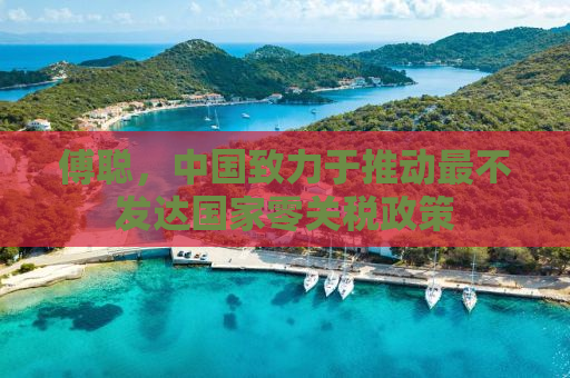 傅聪，中国致力于推动最不发达国家零关税政策