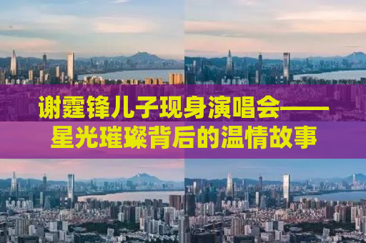 谢霆锋儿子现身演唱会——星光璀璨背后的温情故事