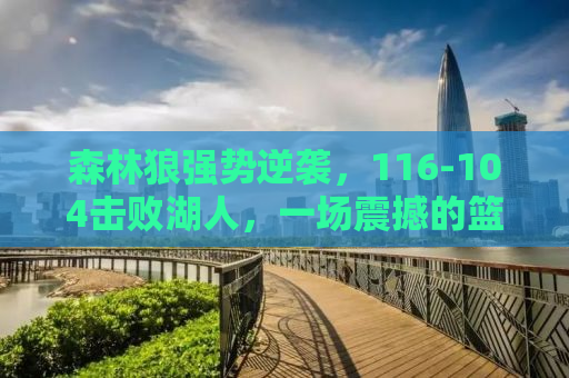 森林狼强势逆袭，116-104击败湖人，一场震撼的篮球盛宴