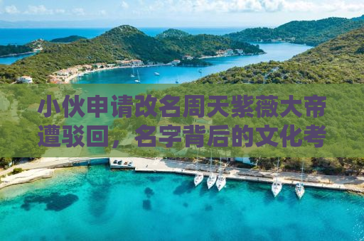 小伙申请改名周天紫薇大帝遭驳回，名字背后的文化考量与社会审视