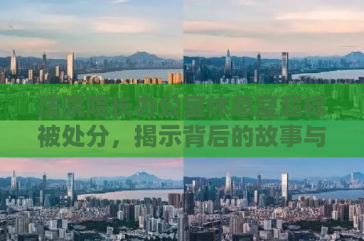 法院院长办公室休息室超标被处分，揭示背后的故事与启示