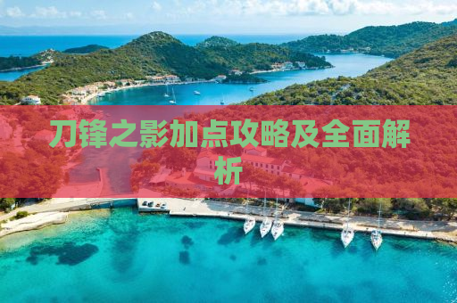刀锋之影加点攻略及全面解析
